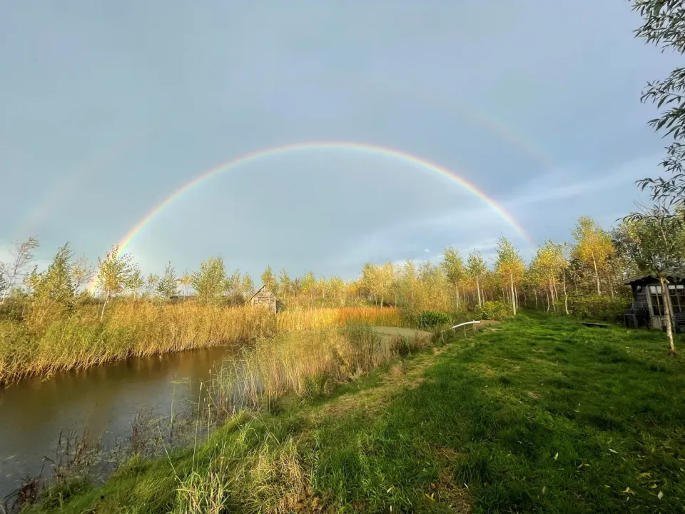 Henriette workshop beheer agroforestry-systemen 3-6-26
