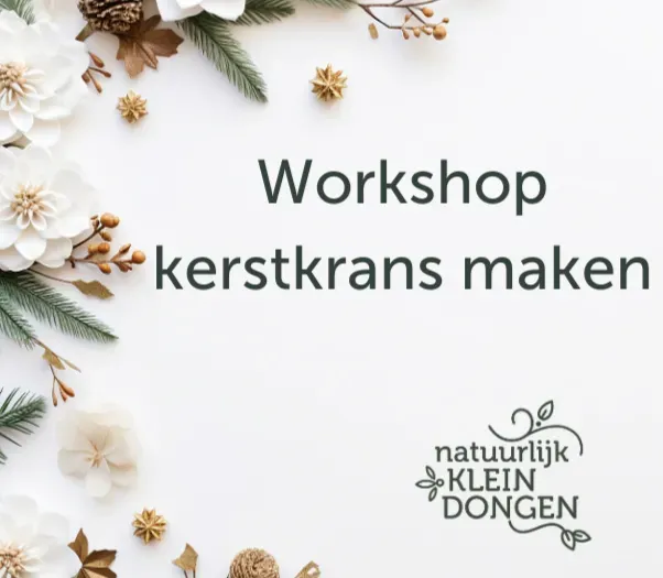Henriette workshop kerstkrans maken dag 2